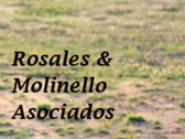 Rosales & Molinello Asociados