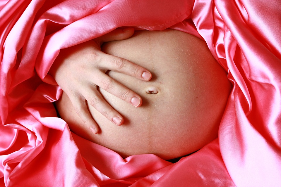 pregnancy-1000417-960-720.jpg