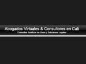 Abogados Virtual Consultas