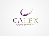 Calex Grupo Empresarial