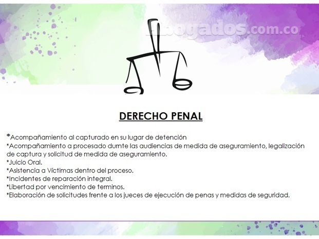 SERVICIOS EN DERECHO PENAL