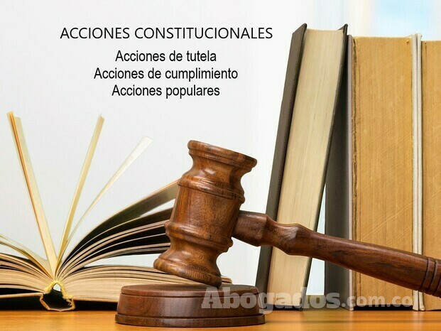 ACCIONES CONSTITUCIONALES.jpg