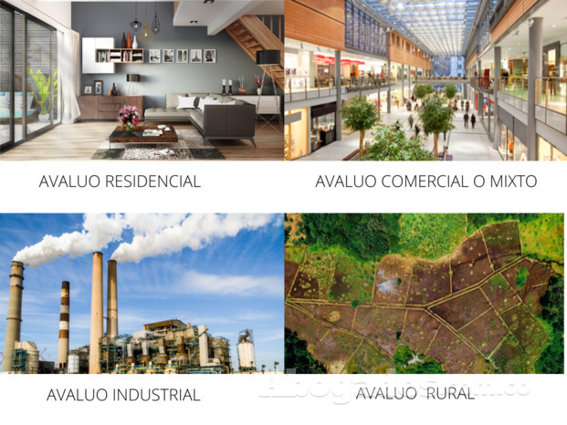 Avalúos