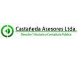 Castañeda Asesores Limitada