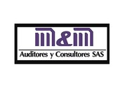 M & M Auditores Y Consultores