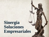 Sinergia Soluciones Empresariales